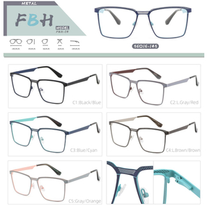 euro design high quality fashion optical frame