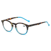 Plastic Fashion Bright color Vintage design Blue light Blocking Computer Digital Spring Hinge Reading Glasses