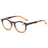 Plastic Fashion Bright color Vintage design Blue light Blocking Computer Digital Spring Hinge Reading Glasses