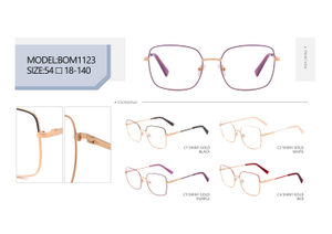 Hot Sale Ins Popular Women Glasses Frame Metal Optical Eyeglasses Frames 